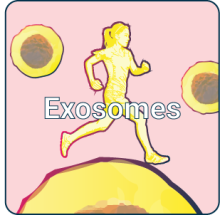 Exosome icon (button)